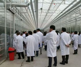 永通科技亮相京津冀，共探蔬菜工廠化生產(chǎn)新路徑